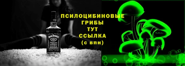 спайс Баксан